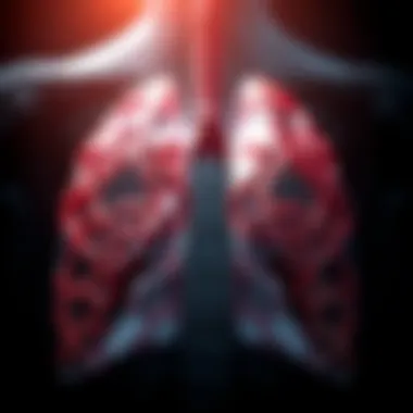 Magnificent Exploring the Deterioration of Lungs: Mechanisms, Effects, and Remedies
