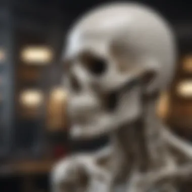 Magnificent Exploring the Innovative Realm of 3D Printed Skeletons Magnificent Exploring the Innovative Realm of 3D Printed Skeletons