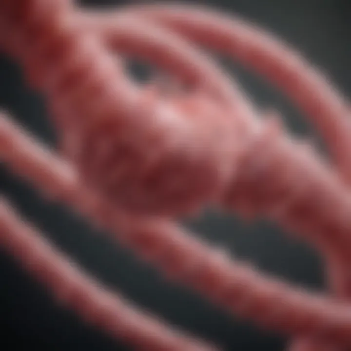 Magnificent The BRCA2 Gene and Its Link to Breast Cancer