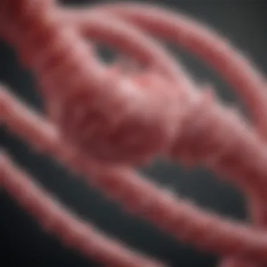 Magnificent The BRCA2 Gene and Its Link to Breast Cancer Magnificent The BRCA2 Gene and Its Link to Breast Cancer