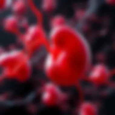 Magnificent Thrombosis Purpura: A Comprehensive Overview