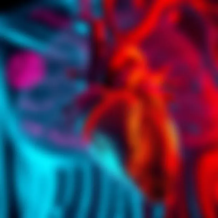 Magnificent Understanding New Diagnoses of Heart Failure