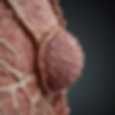 Magnificent Understanding Stage 2B Cervical Cancer: Implications and Insights Magnificent Understanding Stage 2B Cervical Cancer: Implications and Insights
