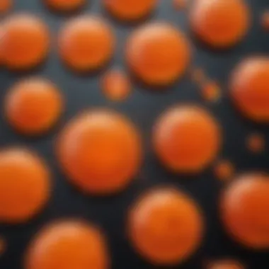 Visual representation of cells stained with acridine orange