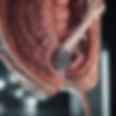 Innovations in Diagnostic Imaging Advancements in CT imaging technology