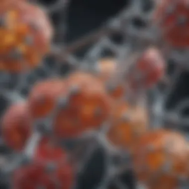 Diverse Amino Acid Structures Illustration of amino acid structures highlighting side chains