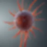An In-Depth Exploration of CD34+ Stem Cells Introduction
