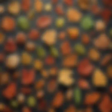 An Array of Leaf Morphologies Diverse Leaf Shapes