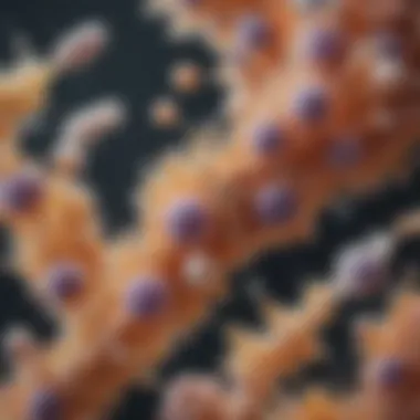 Microscopic Examination of Candida Microscopic view of Candida species showing yeast cells
