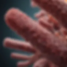 A detailed illustration of the Mycobacterium tuberculosis bacterium highlighting its structure.