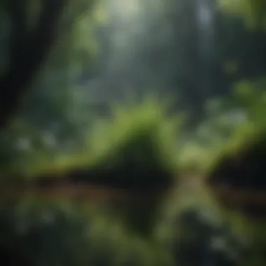 Thriving Freshwater Flora Lush aquatic plants thriving in a freshwater environment
