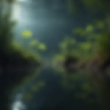 Submerged plants creating a habitat for aquatic life