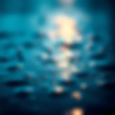 Visual representation of water quality monitoring strategies