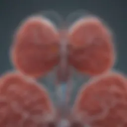 Atrial Fibrillation and Omega-3: An In-Depth Analysis Introduction