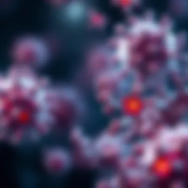 Diagram illustrating autoimmune response in MOGAD