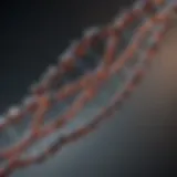 Illustration of DNA structure resembling beads on a string