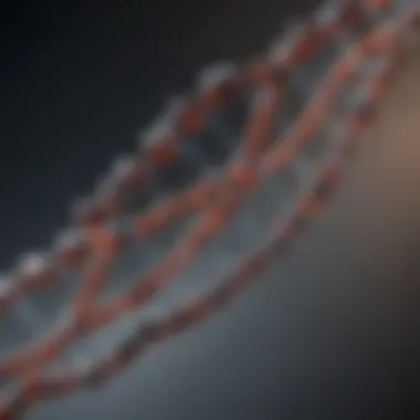 The Beads on a String Concept in DNA Illustration of DNA structure resembling beads on a string