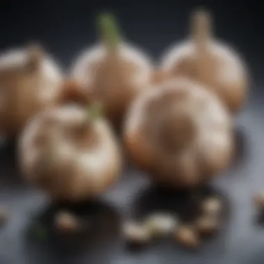 Biochemical Compounds of Garlic and Their Health Benefits An infographic depicting the biochemical compounds in garlic
