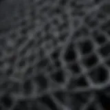 Microscopic view of carbon nanotubes showcasing their unique structure