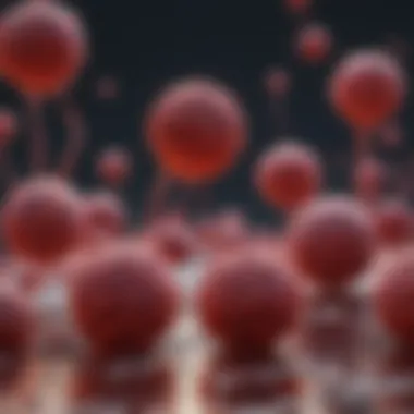 Understanding Myeloma Cells Microscopic view of myeloma cells