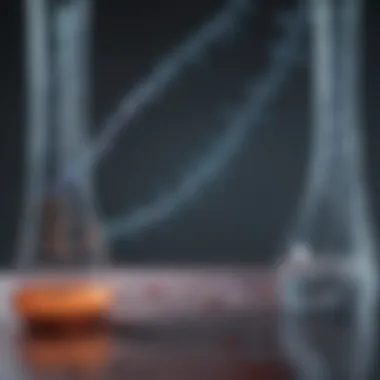 Visual representation of cell-free DNA extraction