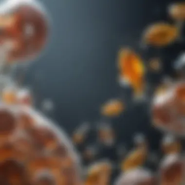Understanding Biochemical Mechanisms Biochemical mechanisms of Vitamin E and Fish Oil
