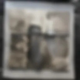 Illustration of spinal anatomy highlighting lesion locations