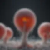High-resolution analysis of sperm motility