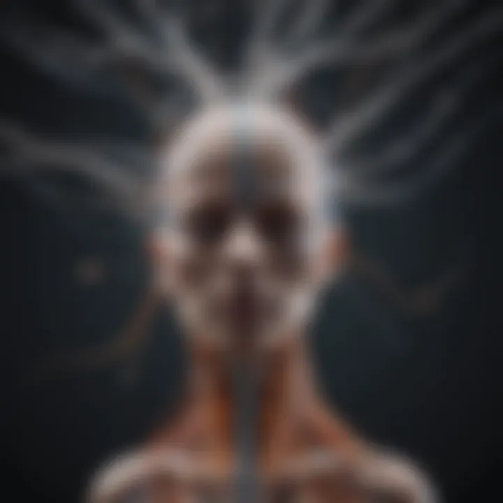 Visual representation of neural pathways influenced by neuromodulation techniques.