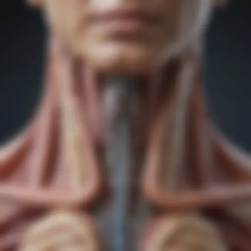 CT scan showcasing esophageal anatomy