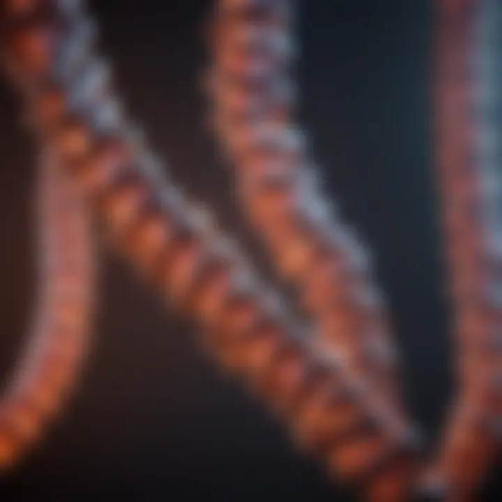 Graphical depiction of codon pairing and its implications in genetic research