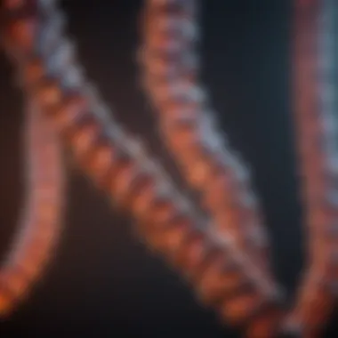 Codon Pairing in Genetic Research Graphical depiction of codon pairing and its implications in genetic research