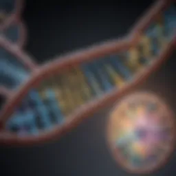 Diagram illustrating the structure of DNA and its relation to mRNA