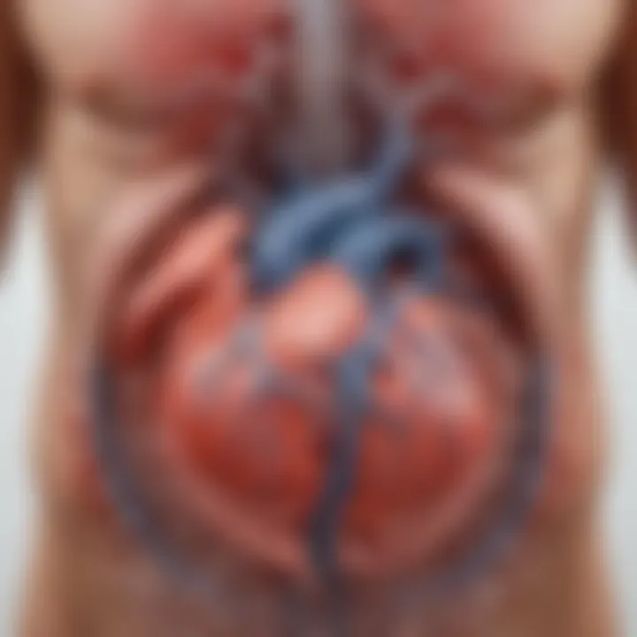 Diagram showing physiological mechanisms linking renal function and heart conditions.