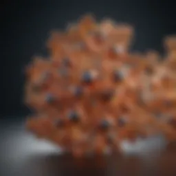 Molecular structure of DMSO highlighting its chemical properties