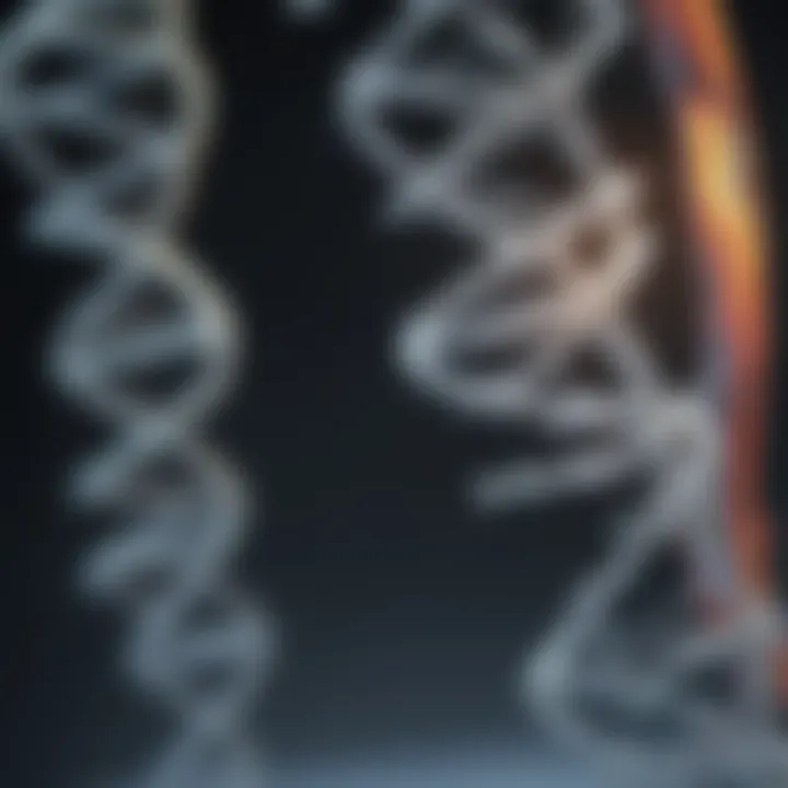 Graphical representation of DNA extraction from plant cells