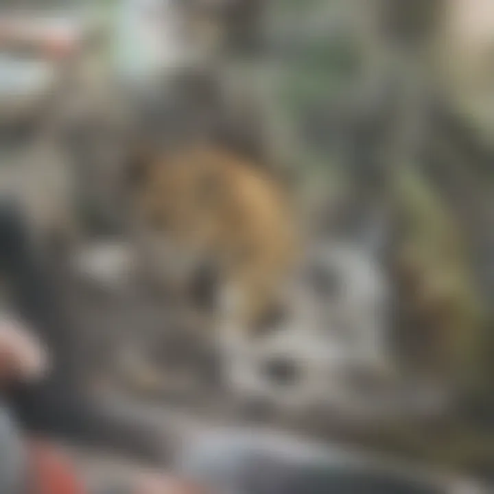 Conservation efforts on display at Dublin Zoo