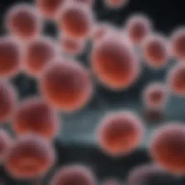 Chart showcasing practical applications in biotechnology using E. coli