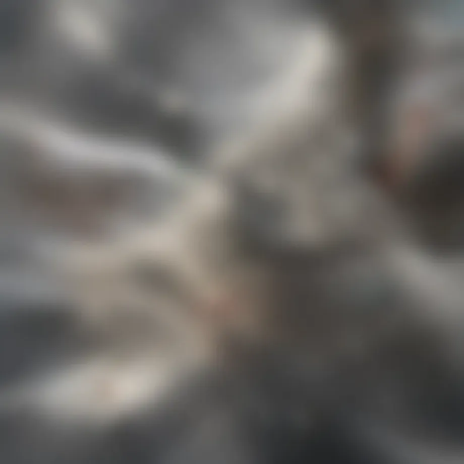 Surgical microscope in endodontic treatment