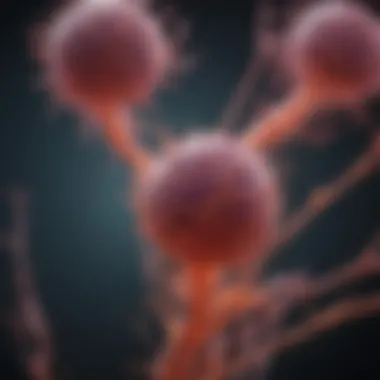 Future Directions in Endosome Marker Research Future directions in endosome marker studies