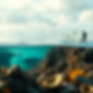 Illustration of ecosystems at risk due to ocean level rise