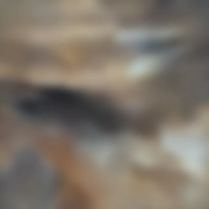 Visualization of surface topography using Atomic Force Microscopy