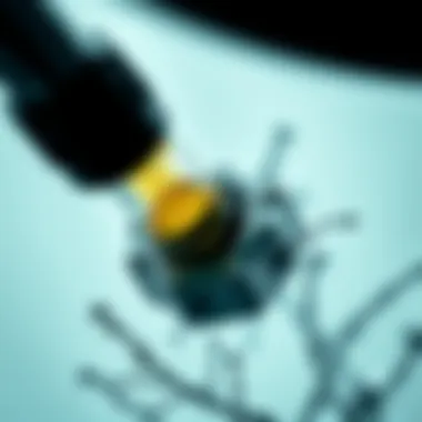 Microscopic view of Bacillus thuringiensis israelensis