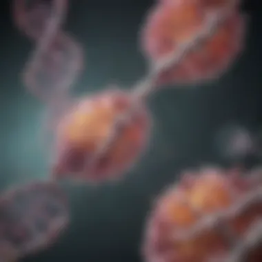 Diagram illustrating DNA methylation processes and their impact on gene expression