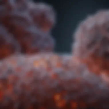 Current Research Insights on COPD Management Research findings related to COPD management