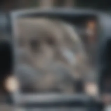 Visual Distractions: The Overlooked Threat A scene showing multiple visual distractions in a driving environment