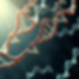 DNA markers illustrated in a genomic context