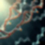 DNA Markers in Genomics DNA markers illustrated in a genomic context