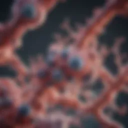 Molecular structure of estrogen receptor