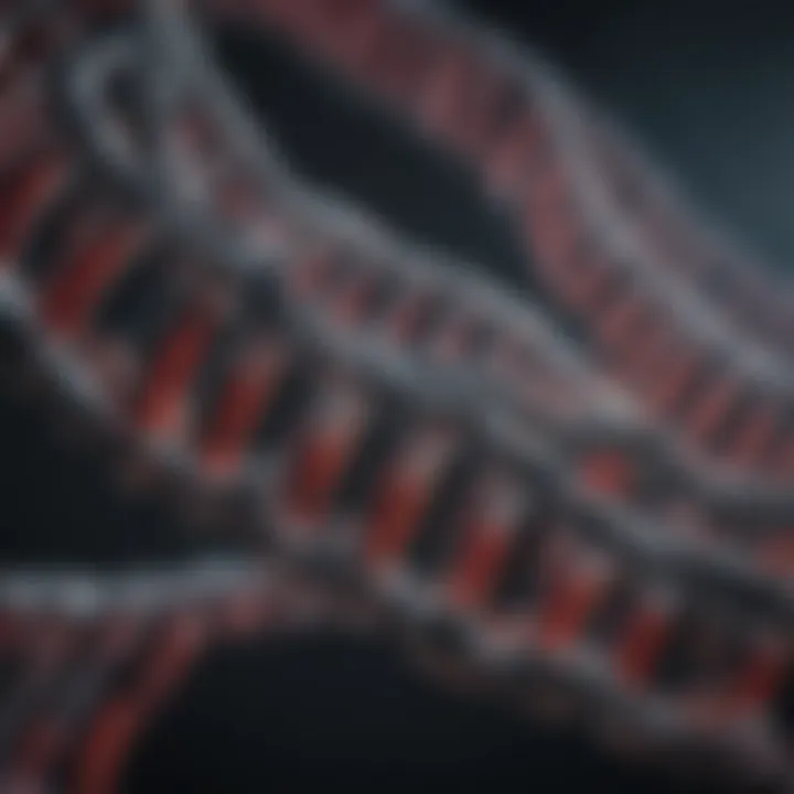 Visual representation of codon optimization in genetic sequences